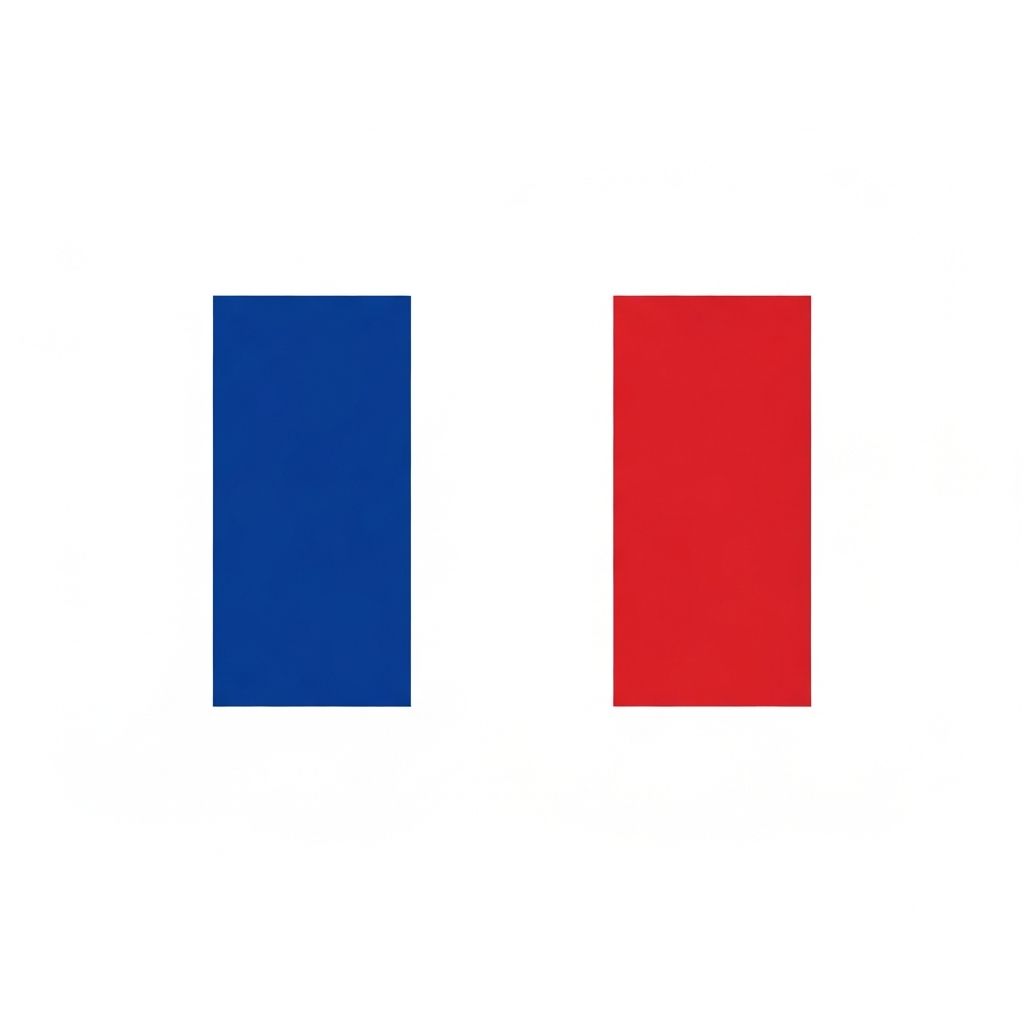 France flag